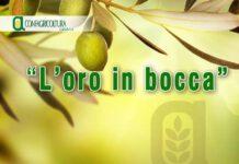 Cittanova, venerdì convegno organizzato da Confagricoltura “L’oro in bocca”