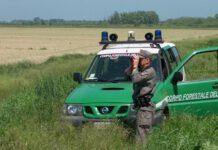 Palmi, caccia illegale e porto d’armi abusivo, denunciate due persone