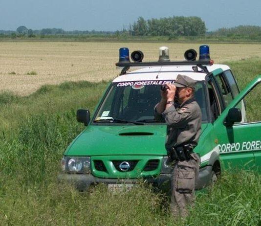 Palmi, caccia illegale e porto d’armi abusivo, denunciate due persone