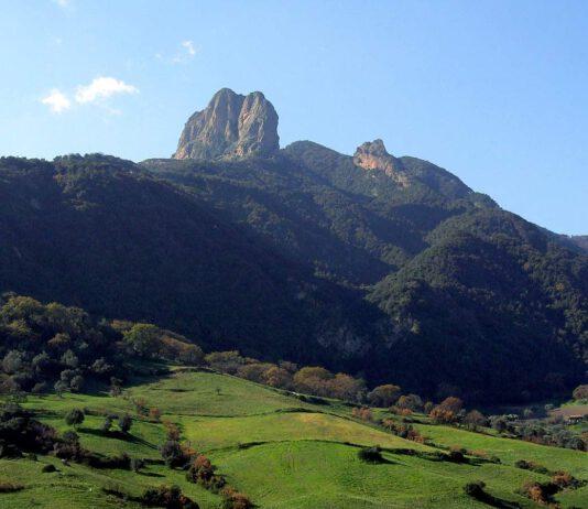 Parco Aspromonte –“Indecorosa la spartizione dell’Ente in barba alle incompatibilità”