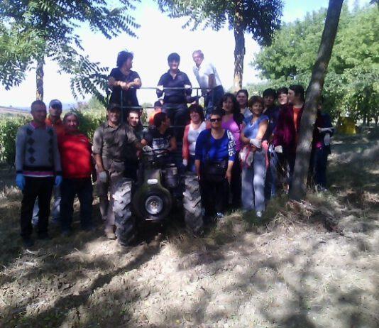 “Giovani in Campagna”, dalla gestione del vigneto all’imbottigliamento del vino