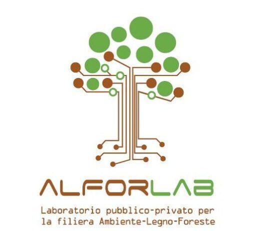 Esperto del Miur a Cosenza per il progetto AlforLab