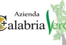 Scomparsa donna nella Sila, avviate da ieri sera le ricerche