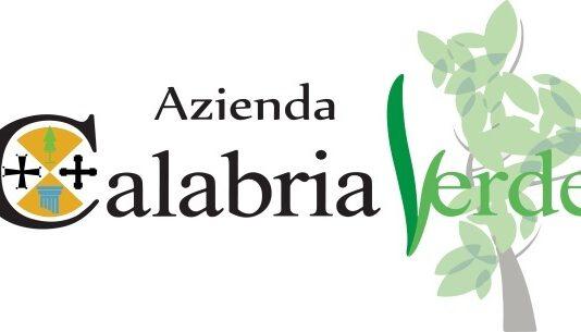 Scomparsa donna nella Sila, avviate da ieri sera le ricerche