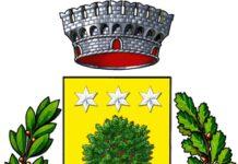 Melicucco, 11 novembre giornata Nazionale dell’albero