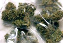 Deteneva in casa marijuana e hashish, un arresto