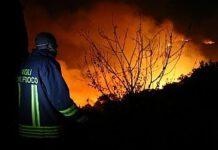 Intimidazione nel vibonese, 7 bovini carbonizzati