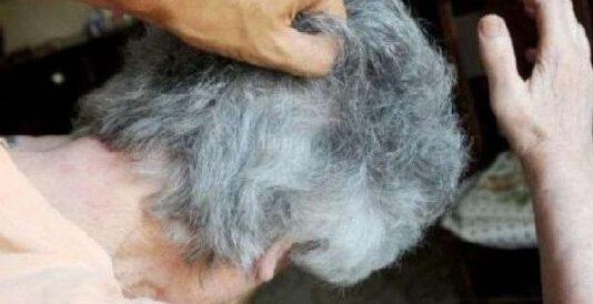 Ladri immobilizzano e picchiano anziana nel vibonese