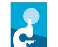 Truffava anziani fingendosi Presidente ricerca cancro, denunciata 54enne calabrese