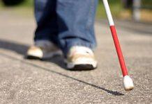 Lamezia, Sovranità: L’amministrazione partecipi al bando semafori per non vedenti