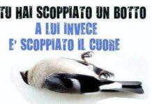 NO AI BOTTI DI CAPODANNO