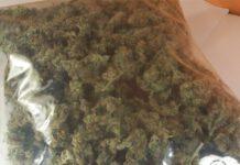 Trovato con 2 kg di marijuana, un arresto nel reggino