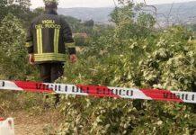 Tragedia in Calabria 30enne muore schiacciato da un albero