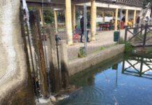 Pdci Reggio Calabria: vergognoso abbandono con precise responsabilità della giunta Falcomatà del Parco Botteghelle