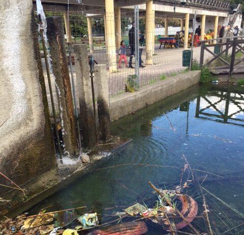 Pdci Reggio Calabria: vergognoso abbandono con precise responsabilità della giunta Falcomatà del Parco Botteghelle