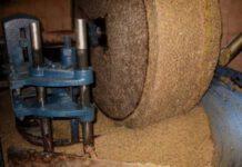 Frantoio sequestrato a Mongiana, acque di scarico finivano nel lago Angitola