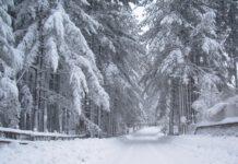 Calabria nella del morsa gelo, -18 in Sila