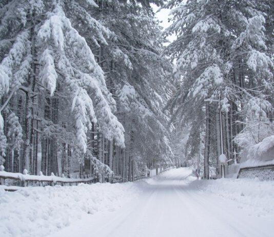 Calabria nella del morsa gelo, -18 in Sila