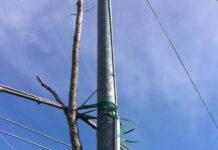 Lamezia, Bilotta (Sovranità): “Persistono i disagi ad Acquadauzano”