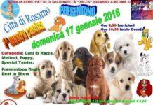Mostra canina città di Rosarno, domenica 17