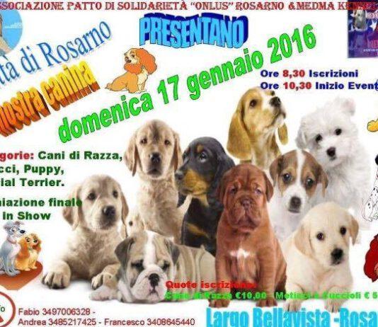 Mostra canina città di Rosarno, domenica 17