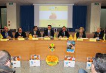 L’Airc in 2500 piazze italiane con le arance calabresi: conferenza stampa a Palazzo Campanella