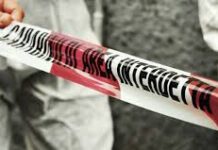 Scheletro ritrovato in torrente a Jonadi, identificati resti