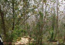 Impiegati comunali denunciati per gestione e combustione illecita di rifiuti