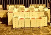 Sequestrati 750 kg novellame di sarda