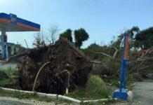 Maltempo Rosarno situazione disastrosa, le foto