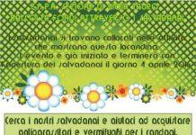 Progetto E.N.P.A. Gioia Tauro “Anime vaganti”. I salvadanai