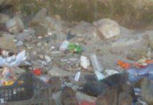 Rosarno, topi invadono via Nazionale, foto e video