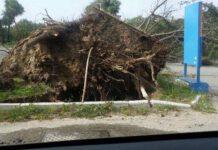 Allarme maltempo Rosarno, il Comandante della Polizia Municipale D’Ascola invita la cittadinanza a non uscire di casa