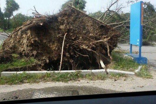 Allarme maltempo Rosarno, il Comandante della Polizia Municipale D’Ascola invita la cittadinanza a non uscire di casa