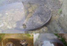 Rosarno, lettera denuncia: VIVIAMO IN UNA FOGNA IN CENTRO