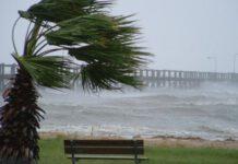 Tromba d’aria a Catanzaro, spazzato via tetto