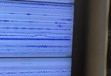 Scossa di terremoto in Calabria