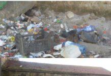 Rosarno-Emergenza topi, immediato intervento del comune