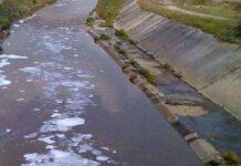 Riversava acque reflue del suo oleificio, denunciato