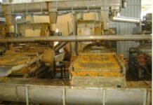 Rosarno, sequestrata azienda di trasformazione agrumi