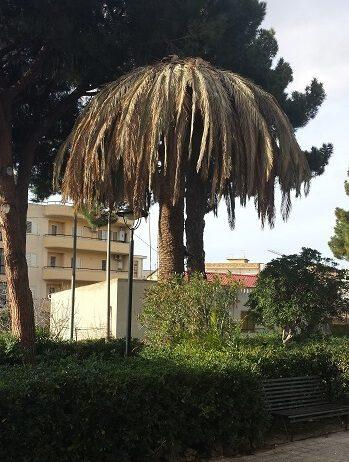 Maiolino (FI): Gallina, la differenziata che non guarda al portafoglio