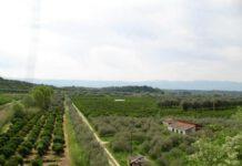 Indennità falsi braccianti, 157 persone denunciate