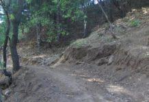 Realizza pista abusiva in un bosco, scoperto da la colpa alla madre 80enne