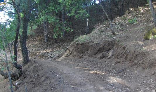 Realizza pista abusiva in un bosco, scoperto da la colpa alla madre 80enne