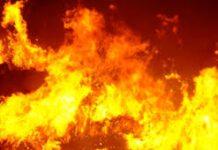 Incendio uffici azienda agricola