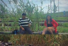 Rosarno, San Ferdinando, Gioia,.. e le loro bellezze “naturali”