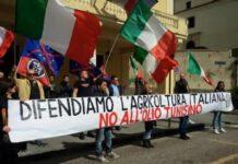 Azione shock di CasaPound contro olio tunisino: “UE e PD nemici della nazione. Via la bandiera dai palazzi comunali”