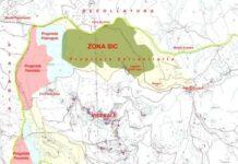 Serrastretta, Il bosco oggetto di allarme non è “La faggeta di Condrò” e non ricade in zona SIC