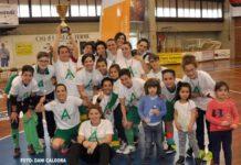 Il Cus Cosenza approda in Serie A affondando il Vibo C/5 per 3-0. Per le vibonesi ultima chance nei playoff interregionali