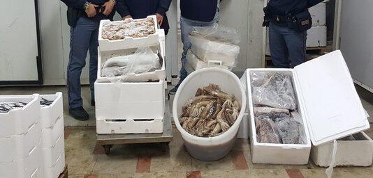 Gioia Tauro, sequestrati 4 quintali di pesce avariato